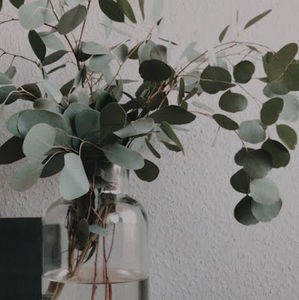 Meet your Posher, Mackenzie